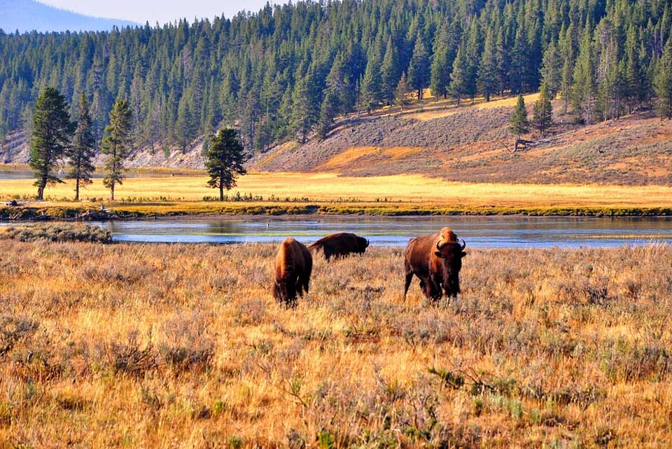 NatMVoyages-Wyoming-Pixabay-01.jpg