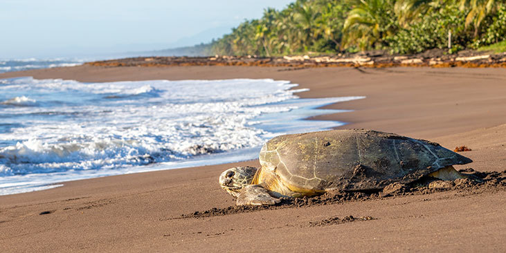 16-costa-rica.jpg