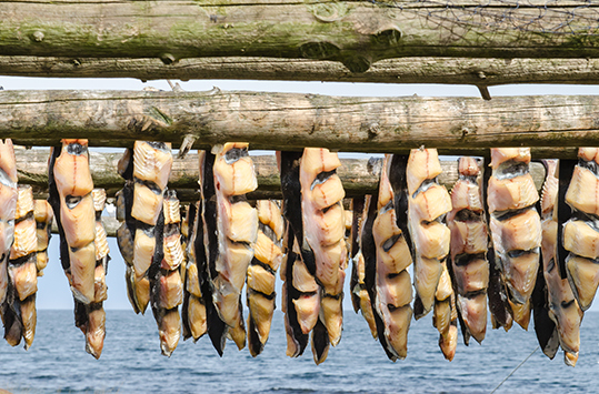 food-islande-min.jpg