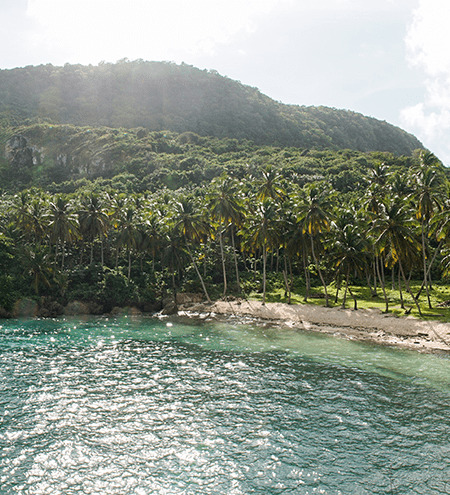 repdominicaine-immanquable_samana.jpg
